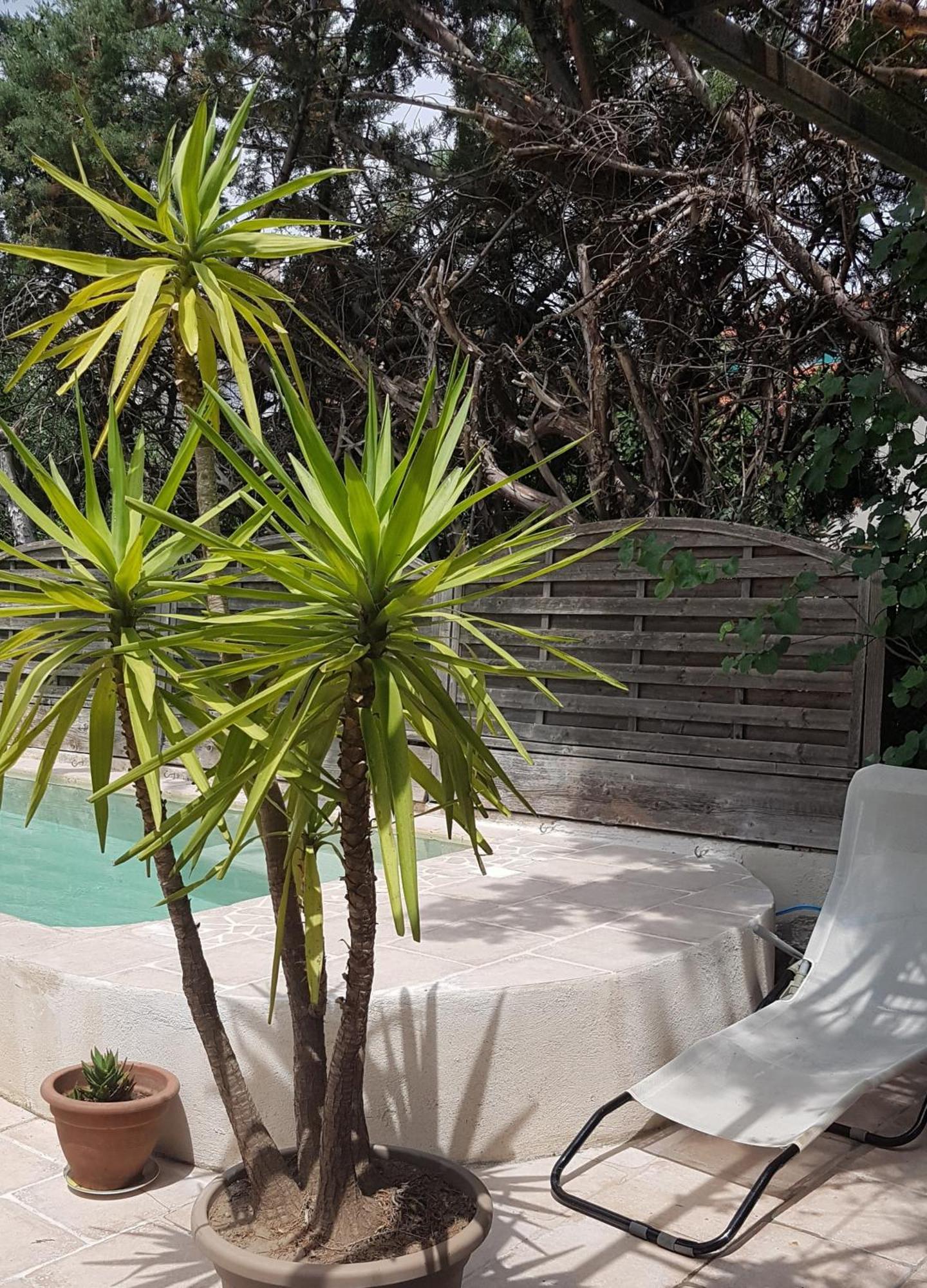 Soleil Bleu Hotel Sorède Екстериор снимка
